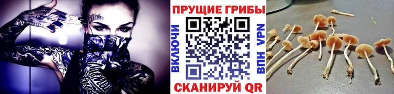 Псилоцибиновые грибы мицелий  Купить где  Нелидово 